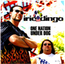ONE NATION UNDER DOG - irie dingo - CD Click Here